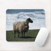 Schapen aan de wilde zuidkust van Devon Muismat (Met muis)