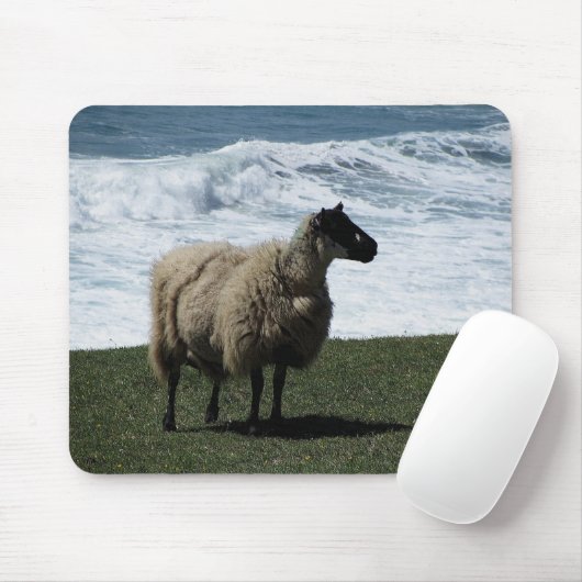 Schapen aan de wilde zuidkust van Devon Muismat (Met muis)