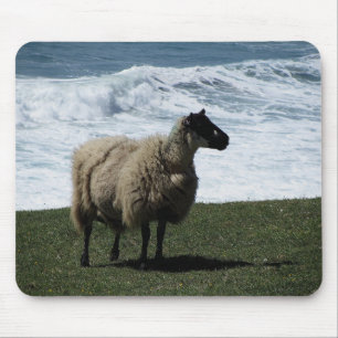 Schapen aan de wilde zuidkust van Devon Muismat