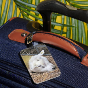SCHAPEN BAGAGELABEL