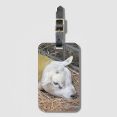 SCHAPEN BAGAGELABEL (Voorkant (verticaal))