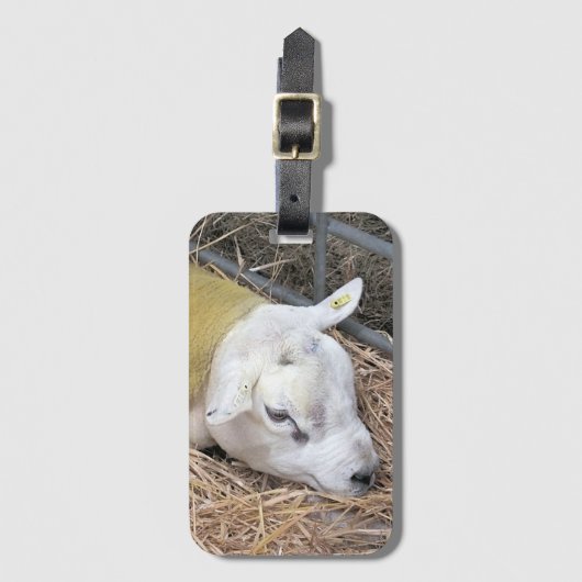 SCHAPEN BAGAGELABEL (Voorkant (verticaal))