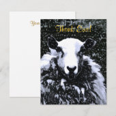 SCHAPEN BEDANKKAART (Voorkant / Achterkant)