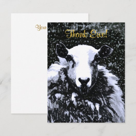 SCHAPEN BEDANKKAART (Voorkant / Achterkant)