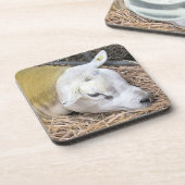 SCHAPEN BIER ONDERZETTER (Linkerzijde)