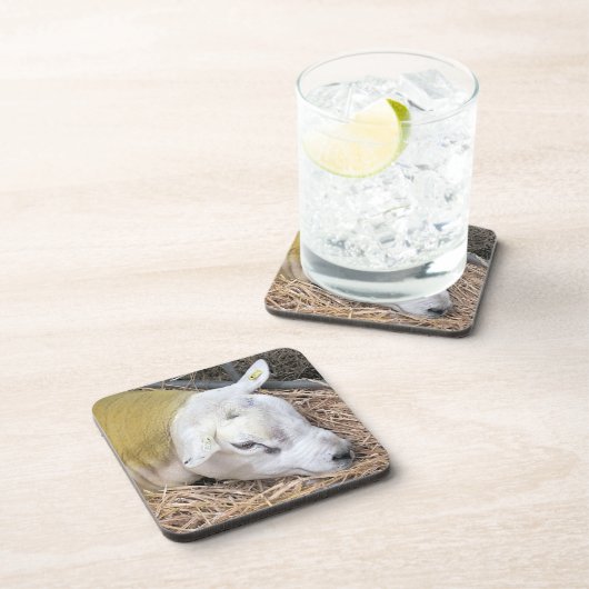 SCHAPEN BIER ONDERZETTER (Rechterzijde)