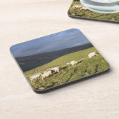 SCHAPEN BIER ONDERZETTER (Linkerzijde)