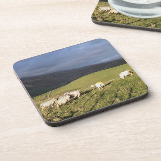 SCHAPEN BIER ONDERZETTER (Linkerzijde)