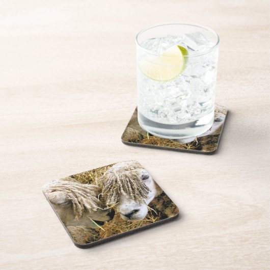 SCHAPEN BIER ONDERZETTER (Rechterzijde)