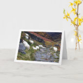 Schapen bij het meer kaart (Gele Bloem)