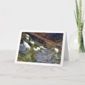 Schapen bij het meer kaart (Voorkant)