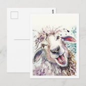 Schapen blij briefkaart (Voorkant / Achterkant)