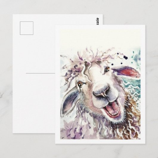 Schapen blij briefkaart (Voorkant / Achterkant)