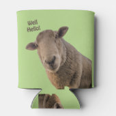 Schapen Blikjeskoeler (Achterkant)