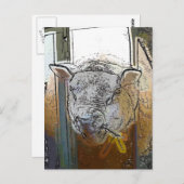 SCHAPEN BRIEFKAART (Voorkant / Achterkant)