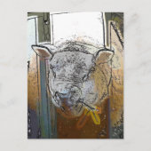 SCHAPEN BRIEFKAART (Voorkant)