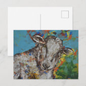 Schapen Briefkaart (Voorkant / Achterkant)