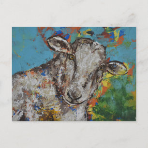 Schapen Briefkaart