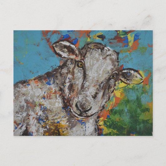 Schapen Briefkaart (Voorkant)