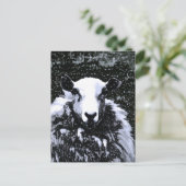 SCHAPEN BRIEFKAART (Staand voorkant)