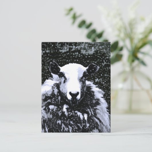 SCHAPEN BRIEFKAART (Staand voorkant)