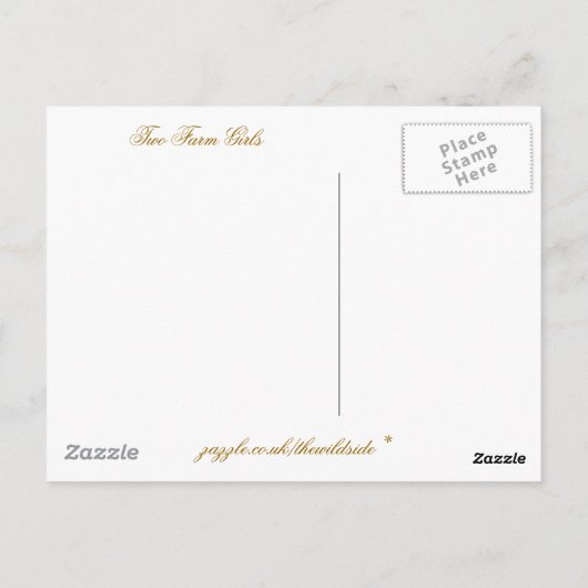 SCHAPEN BRIEFKAART (Achterkant)