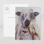 Schapen Briefkaart (Voorkant / Achterkant)