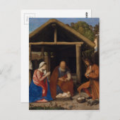 Schapen Briefkaart (Voorkant / Achterkant)