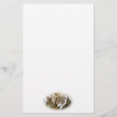 SCHAPEN BRIEFPAPIER (Voorkant)