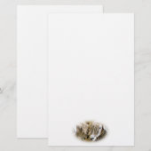 SCHAPEN BRIEFPAPIER (Voorkant / Achterkant)