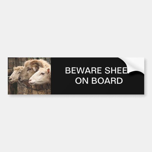 schapen bumpersticker (Voorkant)