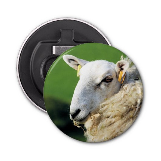 SCHAPEN BUTTON FLESOPENER (Voorkant)