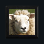 SCHAPEN CADEAUDOOSJE<br><div class="desc">Een foto van een schattig schaap.</div>