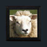 SCHAPEN CADEAUDOOSJE<br><div class="desc">Een foto van een schattig schaap.</div>