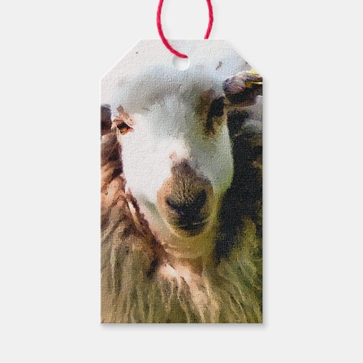 SCHAPEN CADEAULABEL (Voorkant)