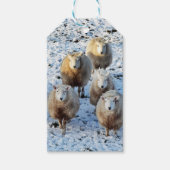 Schapen Cadeaulabel (Voorkant)