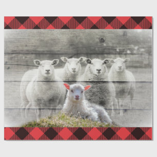 Schapen Cadeaupapier