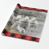 Schapen Cadeaupapier (Uitgerold)