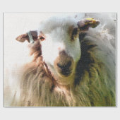 SCHAPEN CADEAUPAPIER (Vlak)