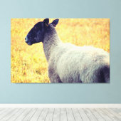 Schapen Canvas Afdruk (Insitu (Houten vloer))