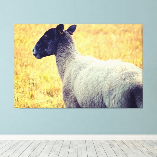 Schapen Canvas Afdruk (Insitu (Houten vloer))