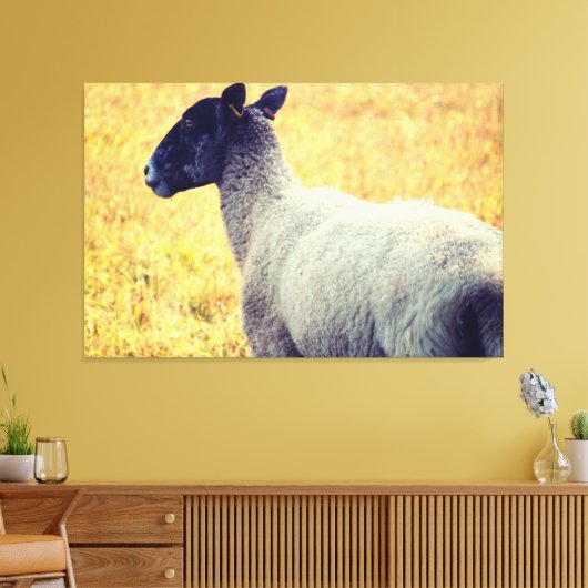 Schapen Canvas Afdruk (Insitu (Woonkamer))