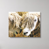 SCHAPEN CANVAS AFDRUK (Voorkant)