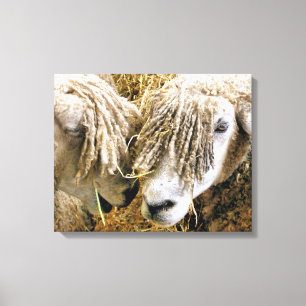 SCHAPEN CANVAS AFDRUK