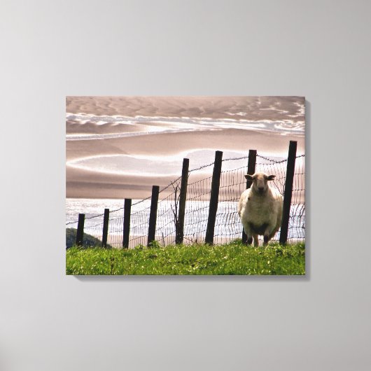 SCHAPEN CANVAS AFDRUK (Voorkant)