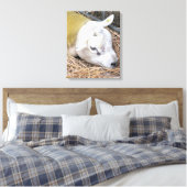 SCHAPEN CANVAS AFDRUK (Insitu (Slaapkamer))