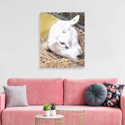 SCHAPEN CANVAS AFDRUK (Insitu (Woonkamer))