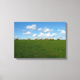 Schapen canvas print