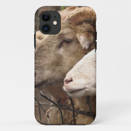 schapen Case-Mate iPhone case (Achterkant)
