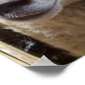 Schapen De Christelijke kunstfoto van de Schapenhe Poster (Hoek)